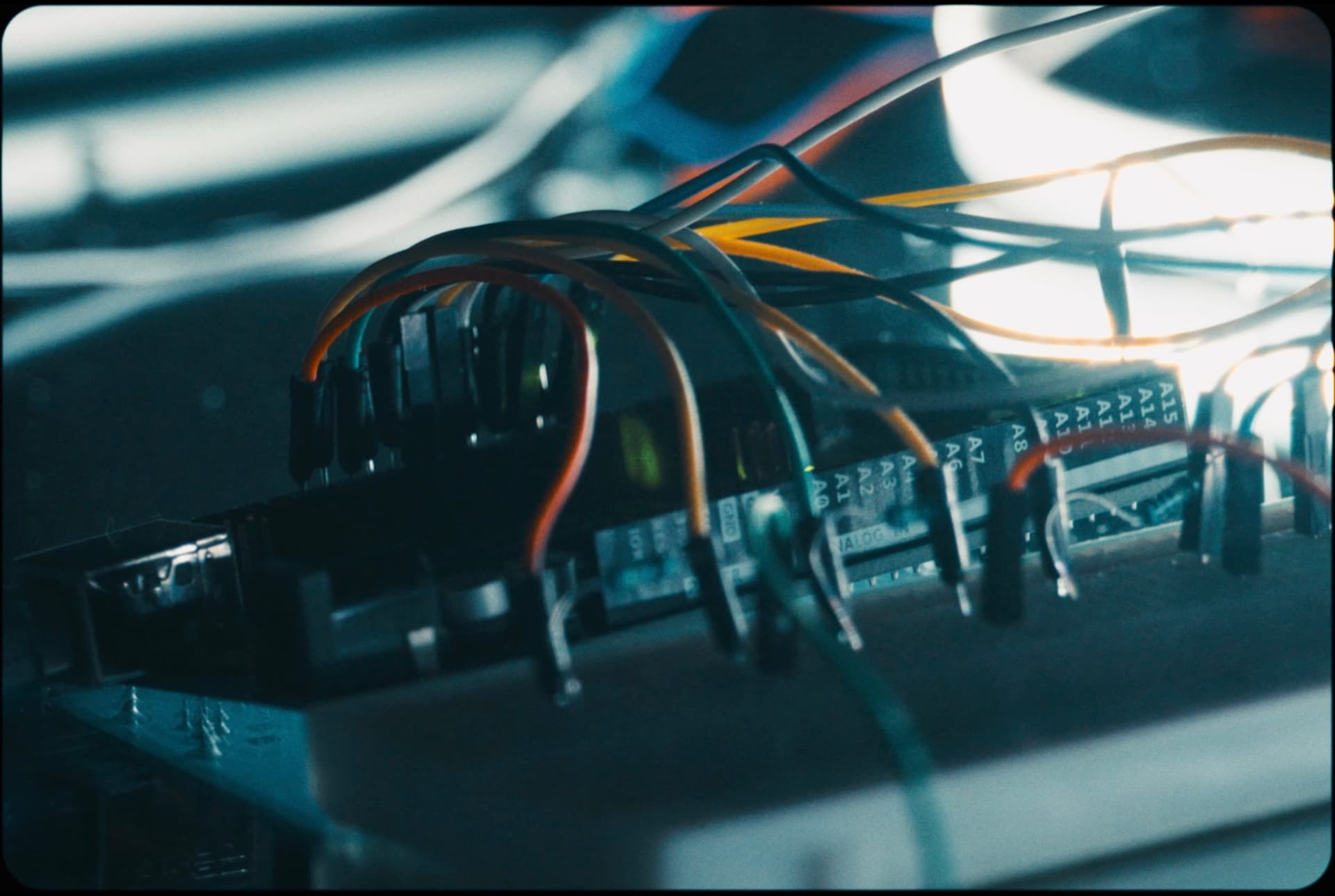 Floriograph - Image 3